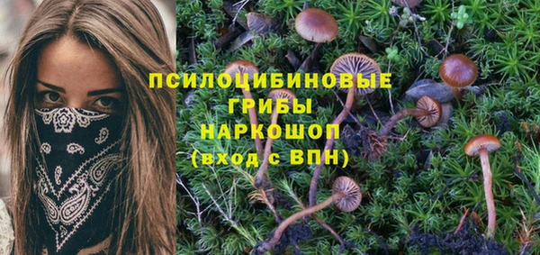 шишки Карталы