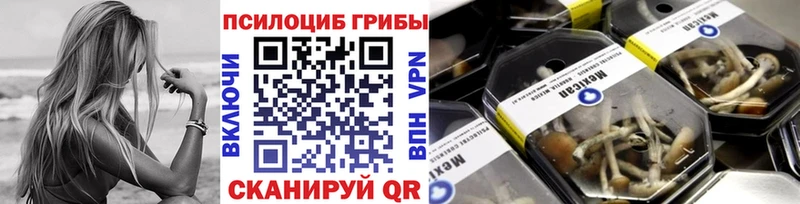 Купить закладки  Сатка  Галлюциногенные грибы ЛСД 